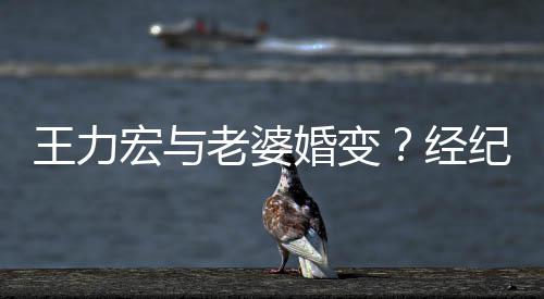 王力点赞们有宏与婚变互动他经纪人老婆否认